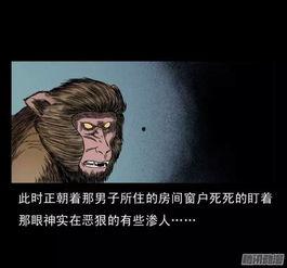 国产猴子复仇在线观看视频,激战巅峰，热血逆袭